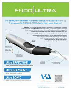 EndoUltra Flyer