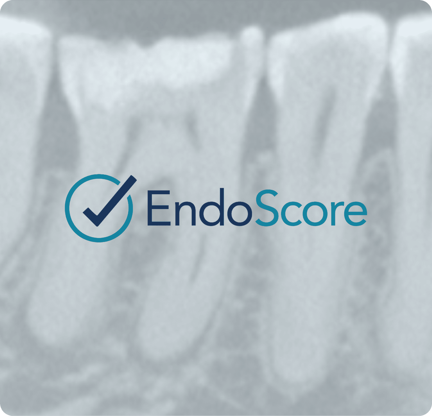 EndoScore