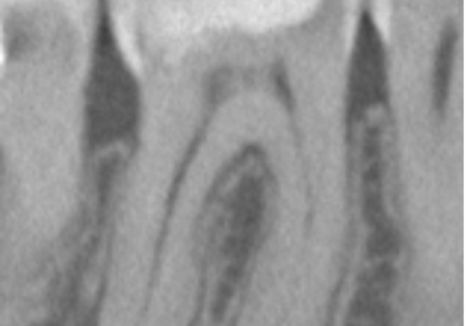 1080X1080_Cross #1 (1)