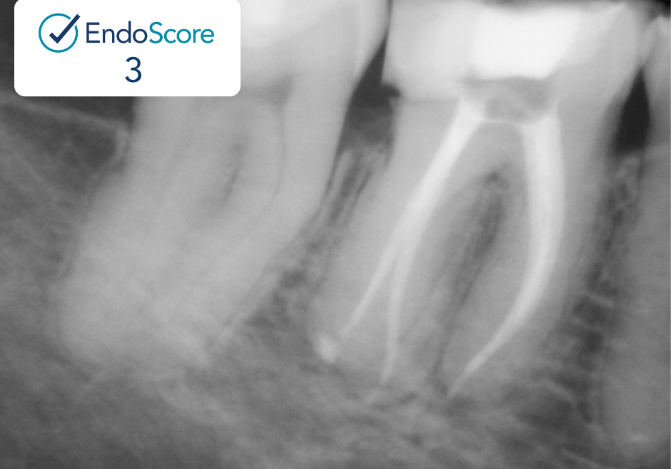 1080X1080_Cross #1 (3)