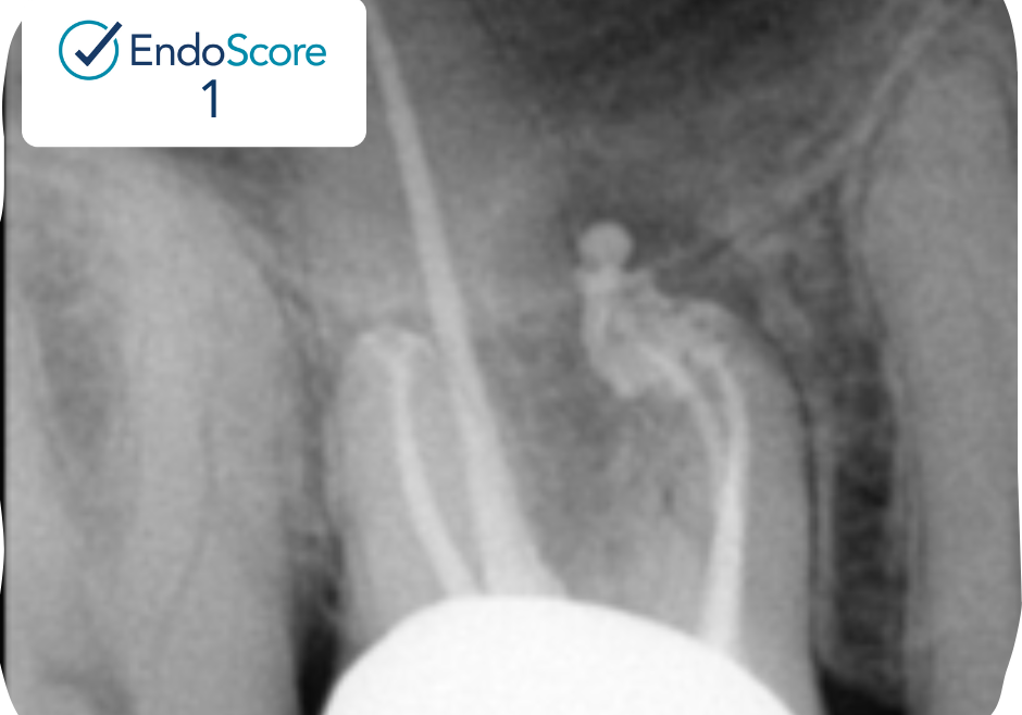 1080X1080_Kolnick Case #1 (3)